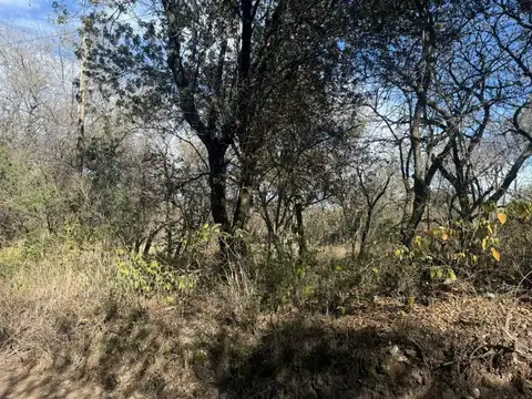 Terreno en Loma Bola