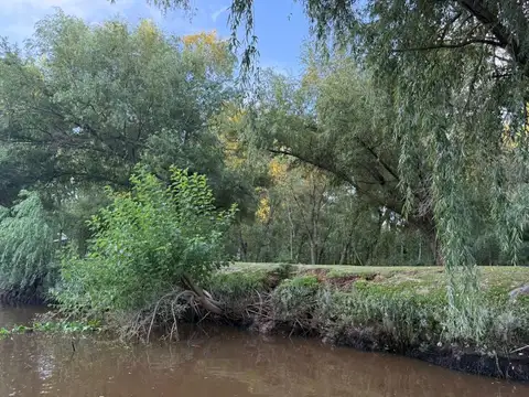 ISLA  El Durazno en ARROYO EL PACIFICO altura Escuela N 4