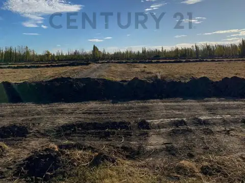 Terreno en cervantes loteo en esquina  la Rufina I
