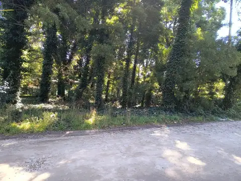 VENTA LOTE 737 MTR2 - SANTA CELINA / MAR DEL PLATA