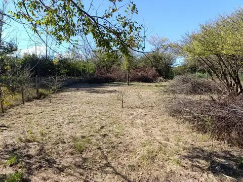 VENTA LOTE LOS REARTES