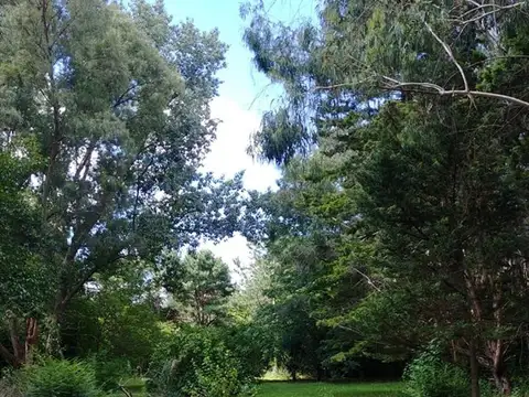 Terreno en Venta de 2516,0 m2