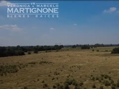 Campo de 15,4 Has EN VENTA en MANZANARES, Pilar