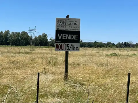 Campo De 15,4 Has En Venta En Manzanares