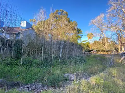 Coronel de Marina C. Fournier