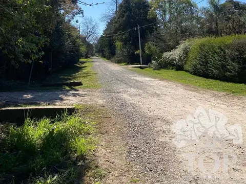 Terreno en Venta 50  mts Fondo