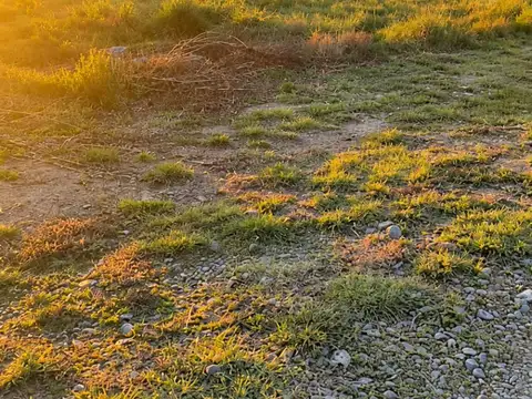 Venta terreno 1500 mts. " el paraiso del valle "