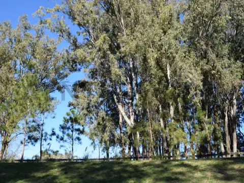 Camino a Baradero , Piso 0