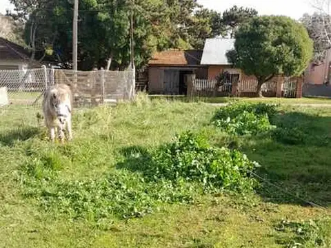 Terreno en Venta 27  mts Fondo