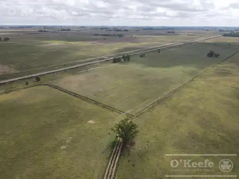 Campo Mixto en venta de 227 has en Ranchos