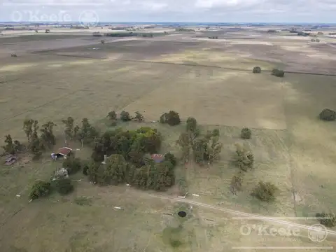 Campo mixto en venta de 227 has sobre Ruta en Ranchos