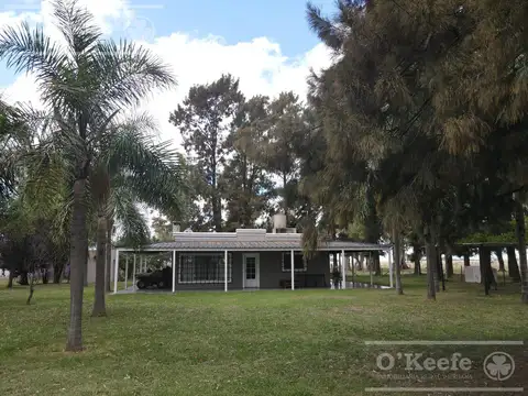 Campo Mixto en venta de 227 has en Ranchos