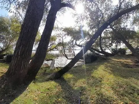 Primera Seccion De Islas (1649), Tigre, Buenos Aires, Argentina