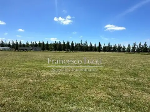 Ruta 2 Km 65 Lote / N° 0