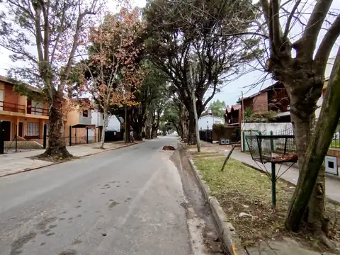 Santa Maria de Oro al 400