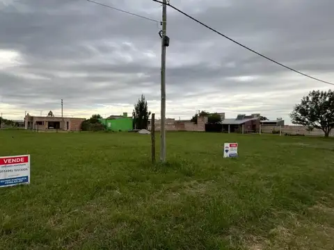 Ruta Provincial 6 1200