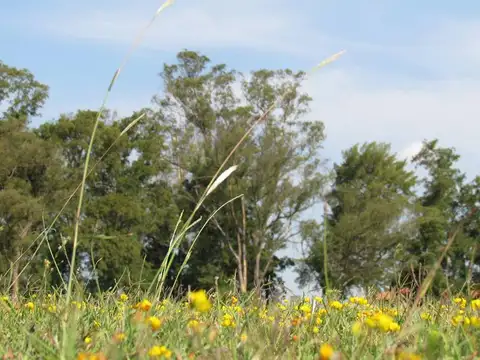 Terreno en Venta en San Lucas, USD 35.000