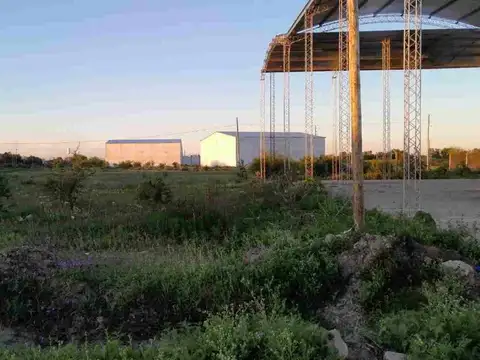 Rosario Vera Peñaloza