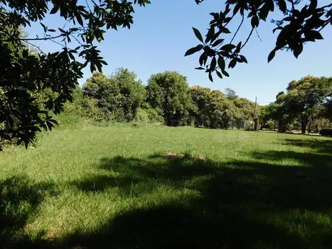 Terreno en Venta en Chascomus, USD 145.000