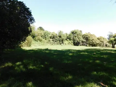 VENTA LOTE ARBOLADO 3000 mts2 ARBOLADO CERCE DE LAGUNA DE CHASCOMUS