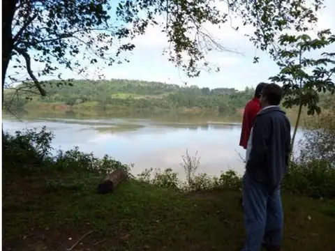 SAN GOTARDO, SE VENDE, 419 has FORRESTAL Y CON YERBALES.