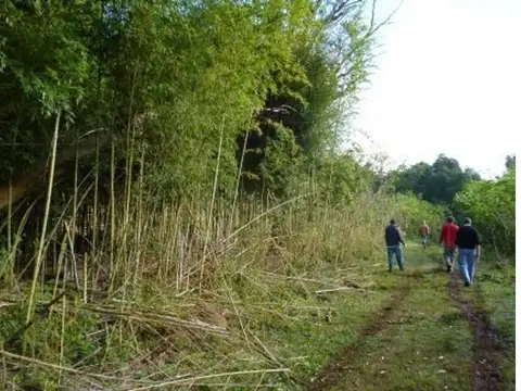 Campo en Venta de 419  ha