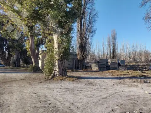 ALQUILER DE 605 HA CON CASA