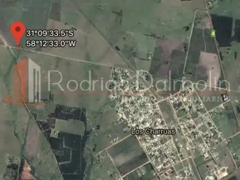 VENDO. 82 Hectáreas en Los Charrúas. Entre Ríos.