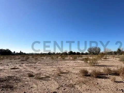 TERRENO EN VENTA - CHACRAS DE CORIA MENDOZA