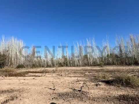 TERRENO EN VENTA - CHACRAS DE CORIA