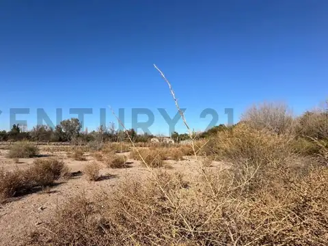 Terreno en Venta 110  mts Fondo