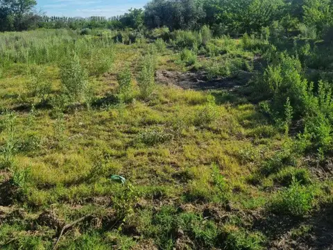 VENTA DE LOTE EN RAMA CAÍDA, SAN RAFAEL, MENDOZA.