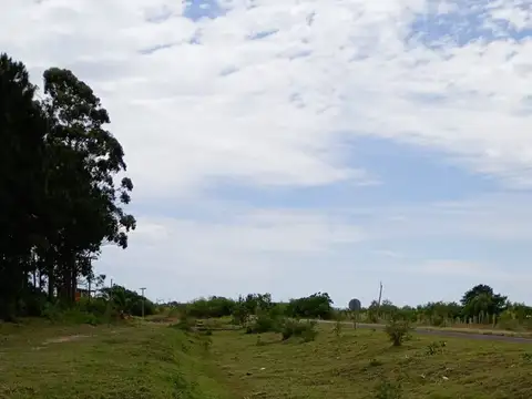 VENTA DE CAMPO EN ESQUINA CORRIENTES