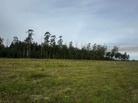 Ruta Nacional 12 acceso sur