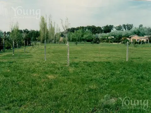 Terreno Venta Campos de Roca