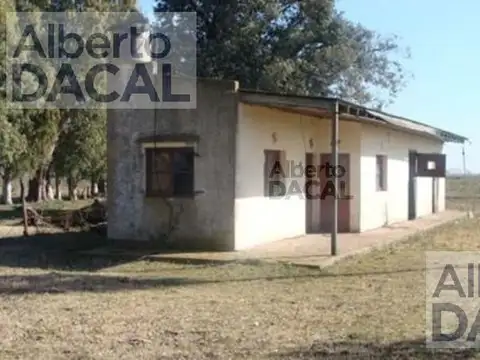 Ruta 36/Km 80