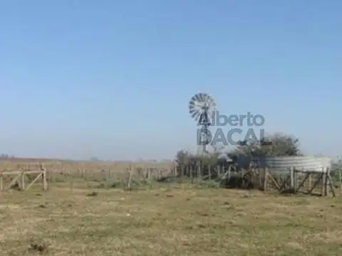 Campo - Magdalena