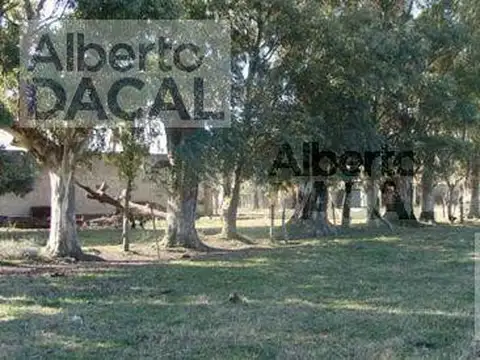 Campo - Magdalena