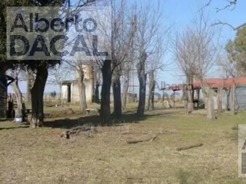 Campo - Magdalena