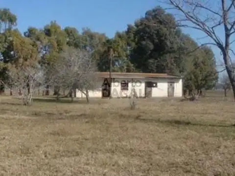 Campo - Magdalena