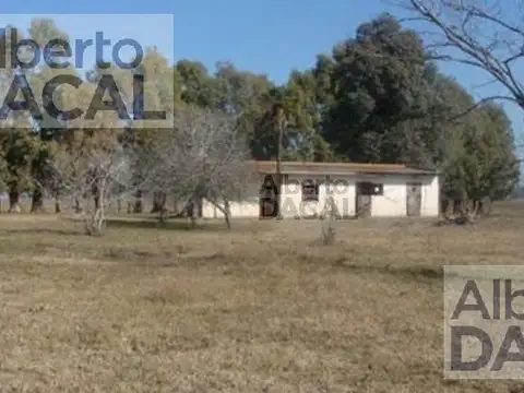 Campo - Magdalena