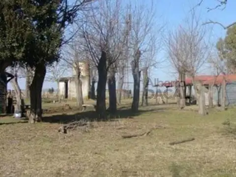 Campo - Magdalena