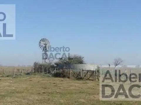 Campo - Magdalena