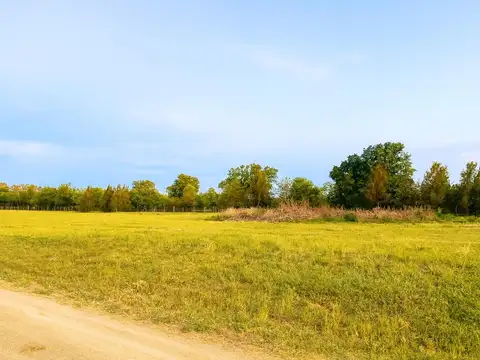 Ruta 6