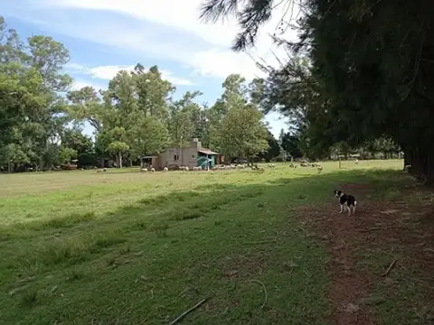 Campo en  CARDALES