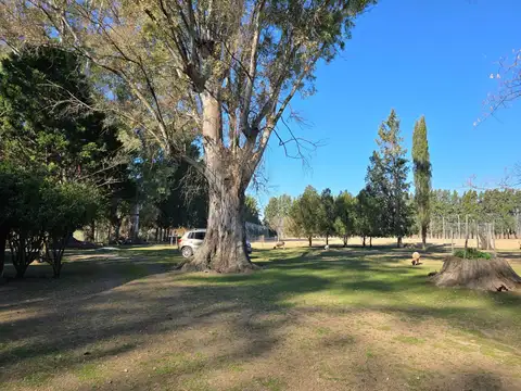 Campo en  CARDALES