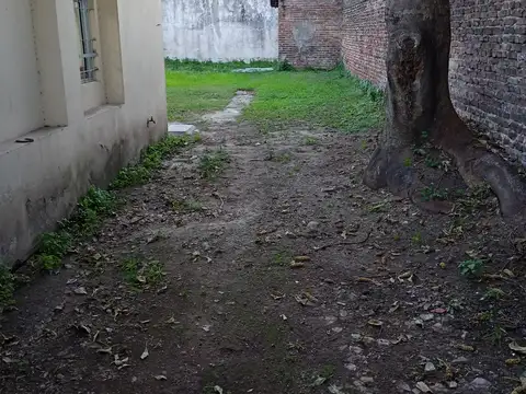 José Martí 3100