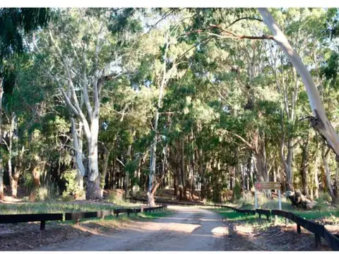 Northbeach Lotes en Pinamar Venta