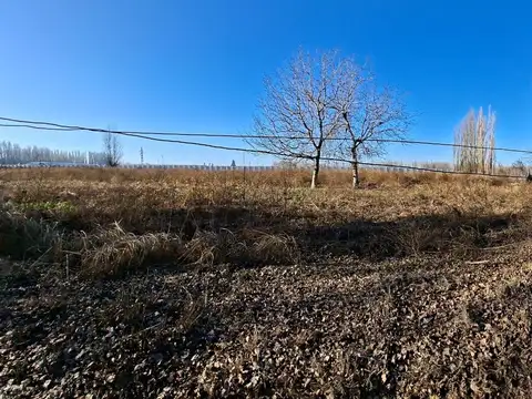 Quinta en Venta al Este