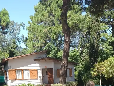 Segui entre Loria y Esparza